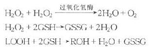 三、过氧化氢酶、过氧化物酶的作用