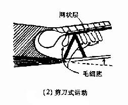 剪刀式运动