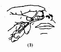 前鼻镜使用法
