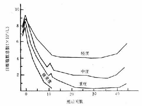 不同程度骨髓型放射病白细胞变化曲线