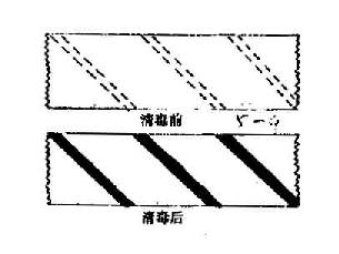 灭菌效果的监测1