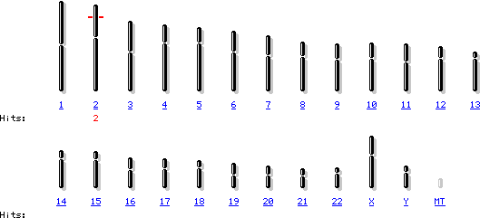 在第2条染色体上MSH2,MSH6基因表达