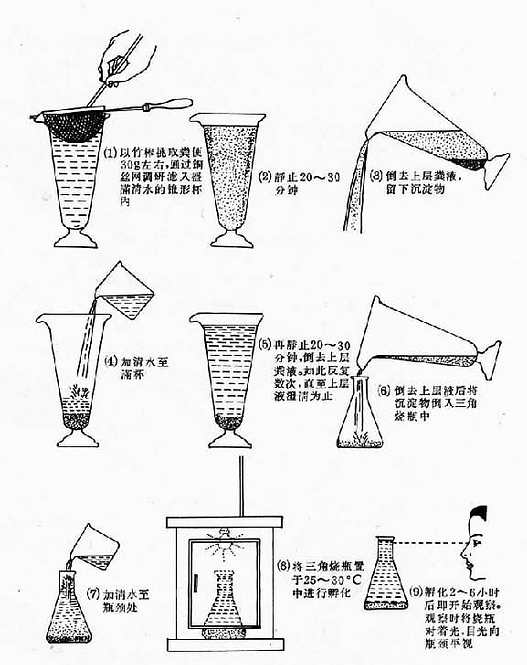 粪便沉淀及毛蚴孵化法