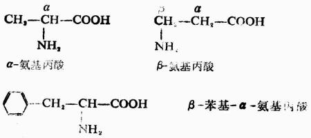 一、氨基酸的构造、构型及分类、命名