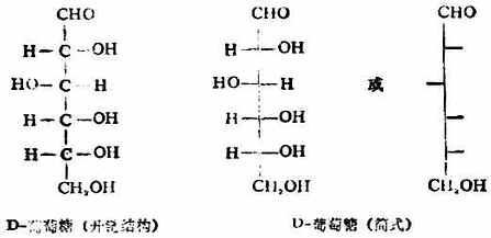 一、单糖的结构