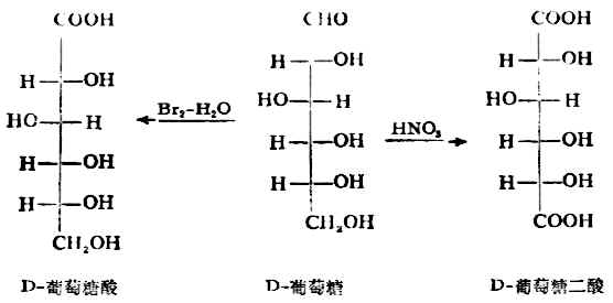 二、单糖的性质