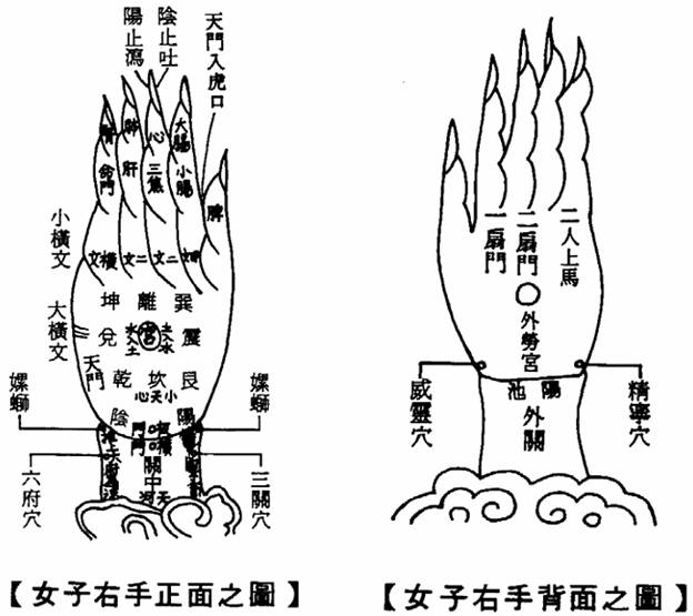 女子右手正背面之图