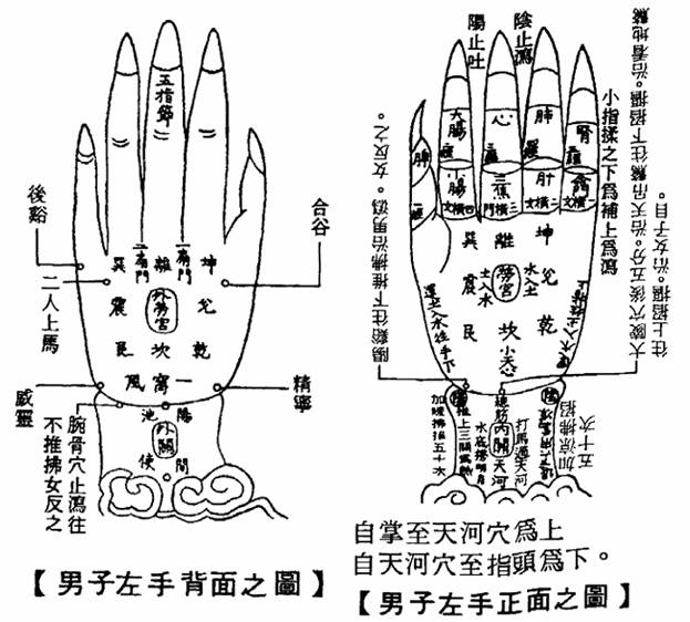 男子左手正背面之图